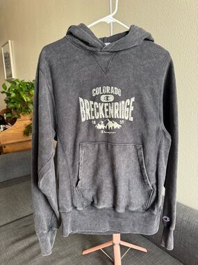Champion Washed Black Breckenridge Graphic Hoodie
